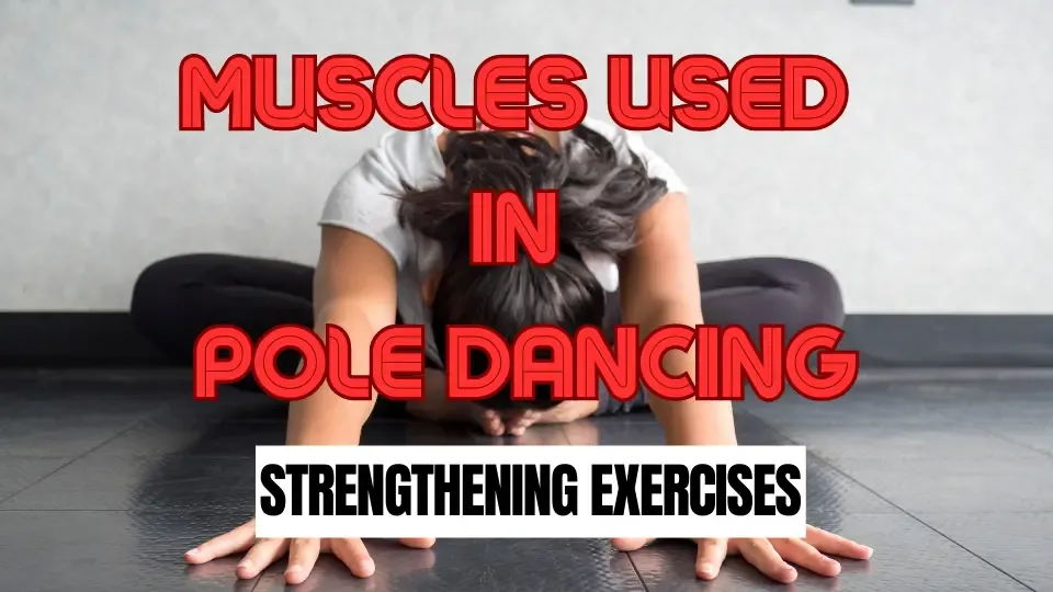 Muscles Used in Pole Dancing - Strengthening Exercises