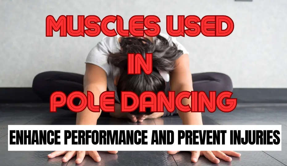 Muscles Used in Pole Dancing - Enhance Performance and Prevent Injuries