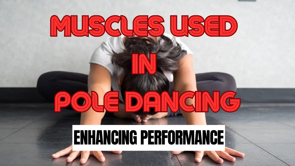 Muscles Used in Pole Dancing - Enhancing Performance